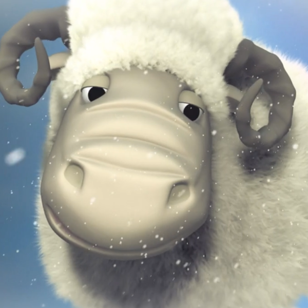 ZQUE MERINO > Winter> TVC